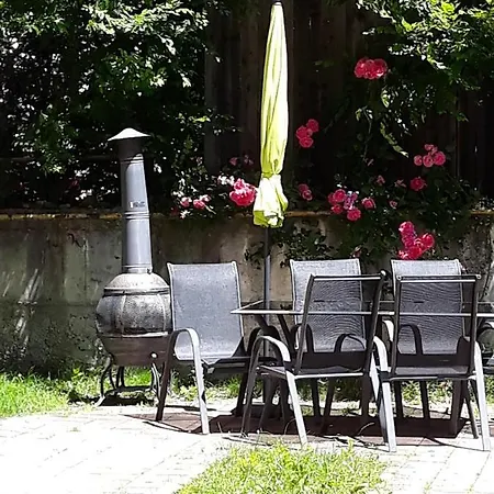 Vila Foisor Guest house Busteni