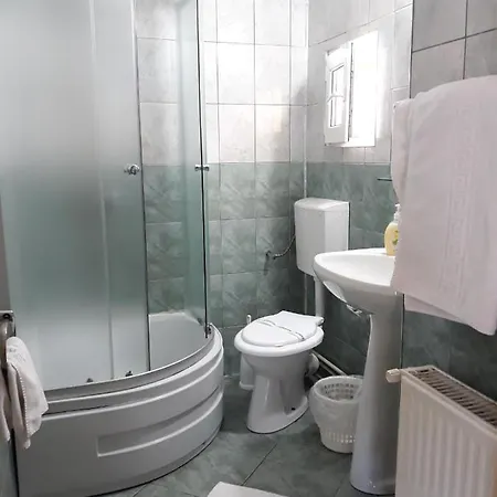 Guest house Vila Foisor *