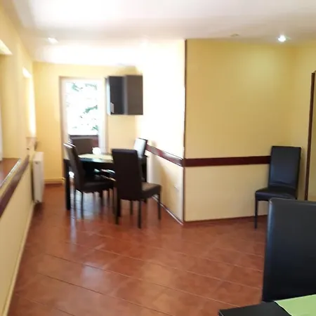 Vila Foisor Guest house Busteni