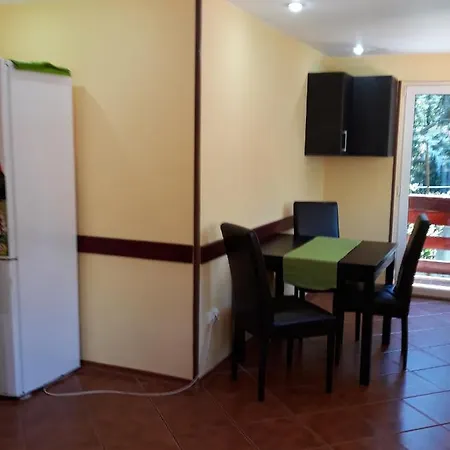Vila Foisor Guest house *
