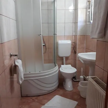 Vila Foisor Busteni