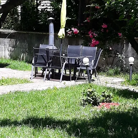 Vila Foisor Guest house *
