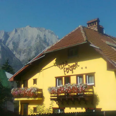 Guest house Vila Foisor
