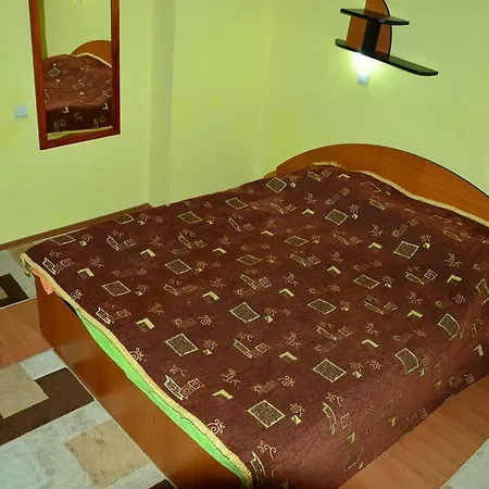 Vila Foisor Guest house *