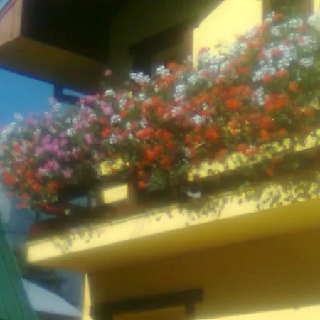 Vila Foisor Guest house *