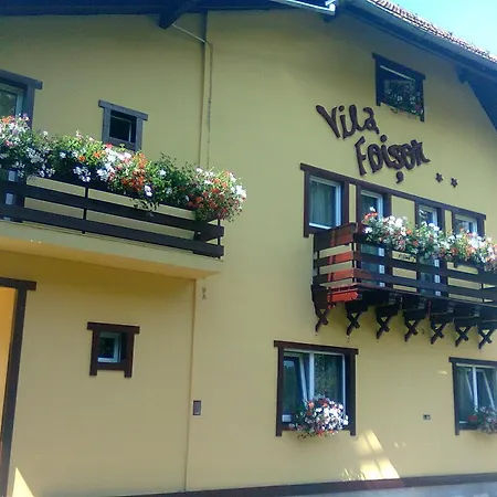 Vila Foisor * Busteni