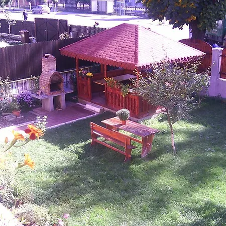 Guest house Vila Foisor