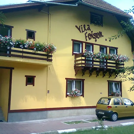 Guest house Vila Foisor *