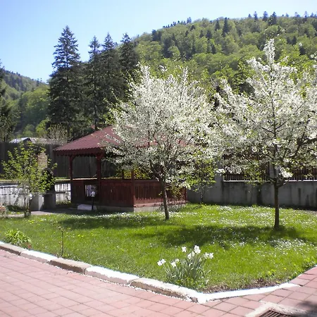 Vila Foisor Guest house *