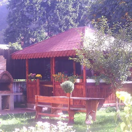 Vila Foisor Guest house Busteni