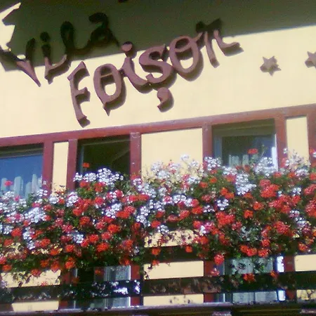 Vila Foisor