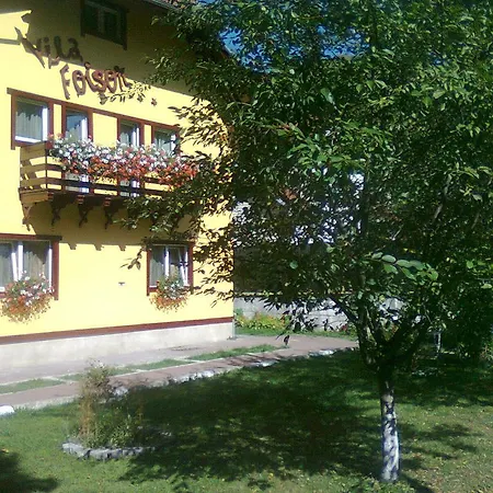 Guest house Vila Foisor