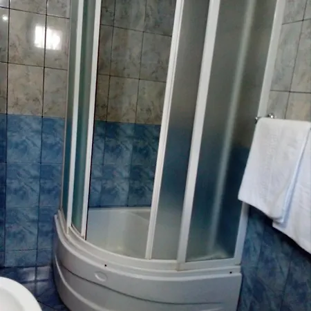 Vila Foisor Guest house Busteni