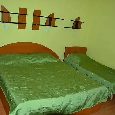 Vila Foisor Guest house *
