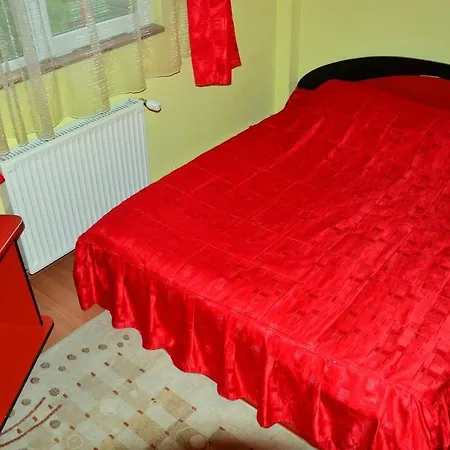 Vila Foisor Guest house *